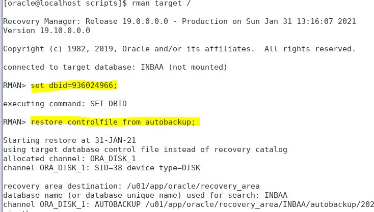 ora-00210 no abrir el archivo de datos de control especificado ora-00202 archivo de control